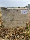 Захоронение ID 620476