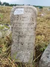 Захоронение ID 620484