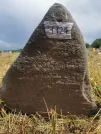 Захоронение ID 620503