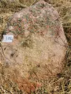 Захоронение ID 620509