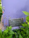 Захоронение ID 620511
