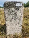 Захоронение ID 620542