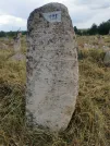 Захоронение ID 620563