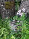 Захоронение ID 620594