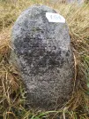 Захоронение ID 620607