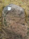 Захоронение ID 620612