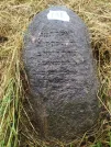 Захоронение ID 620614