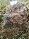 Захоронение ID 620619