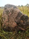 Захоронение ID 620631