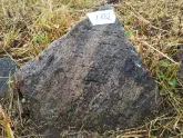 Захоронение ID 620643