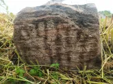 Захоронение ID 620653