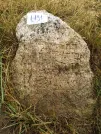 Захоронение ID 620663