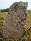 Захоронение ID 620667
