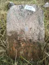 Захоронение ID 621081