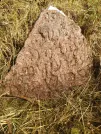 Захоронение ID 621092