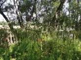 Захоронение ID 621911