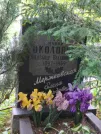 Захоронение ID 622125