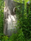 Захоронение ID 622201