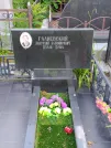 Захоронение ID 622578