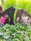 Захоронение ID 622596