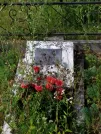 Захоронение ID 622620