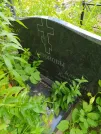 Захоронение ID 622643