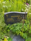 Захоронение ID 623722