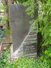 Захоронение ID 623893