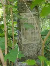 Захоронение ID 623991