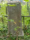 Захоронение ID 623994