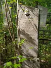 Захоронение ID 624004