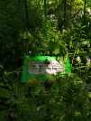 Захоронение ID 689734