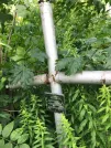 Захоронение ID 610799