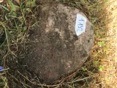 Захоронение ID 620550