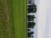 Захоронение ID 610777