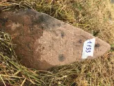 Захоронение ID 620479