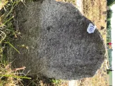 Захоронение ID 616270