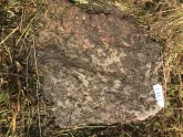 Захоронение ID 620544