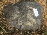 Захоронение ID 620540