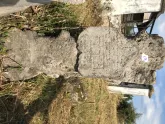 Захоронение ID 615772