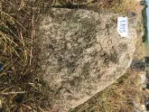 Захоронение ID 620532