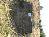 Захоронение ID 613427