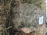 Захоронение ID 620561