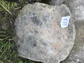 Захоронение ID 617812