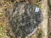 Захоронение ID 616345