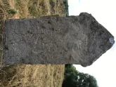 Захоронение ID 611567