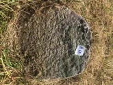 Захоронение ID 618992