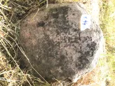 Захоронение ID 617056
