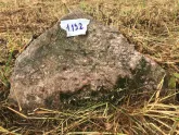 Захоронение ID 620482