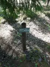 Захоронение ID 610776